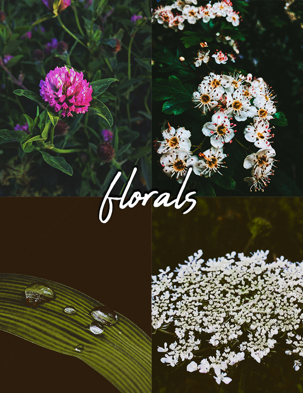 favorite-pictures-florals
