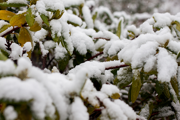 weather-in-netherlands-3