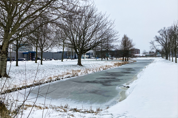 Snow in The Netherlands - A Daily Lee