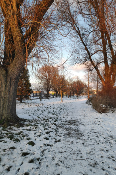 Snow in The Netherlands - A Daily Lee